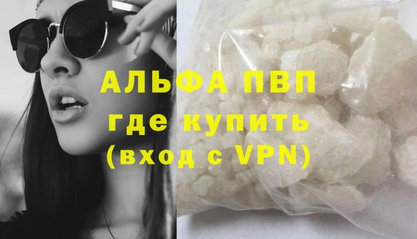 дживик Осташков
