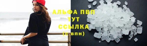 молекула духа Осинники
