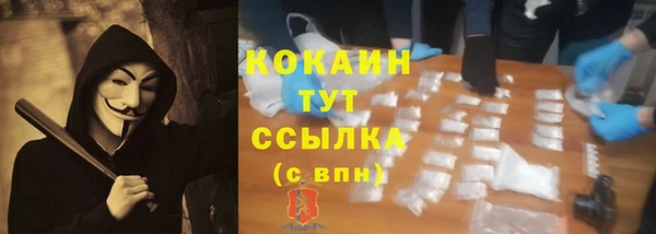 тгк Армянск