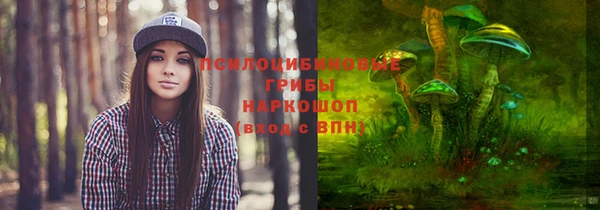тгк Армянск