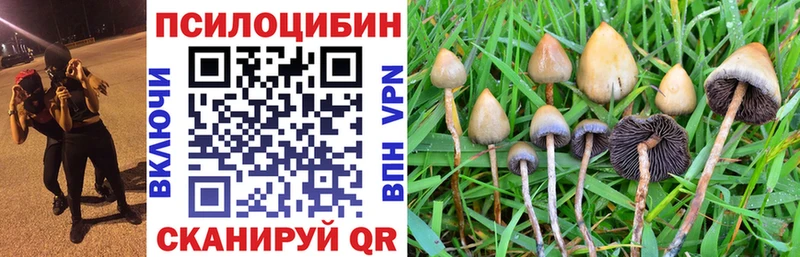 Псилоцибиновые грибы прущие грибы  Ишим 